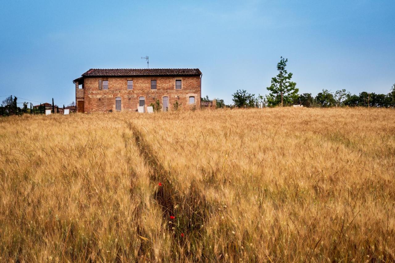 Tenuta La Santissima San Rocco a Pilli Luaran gambar